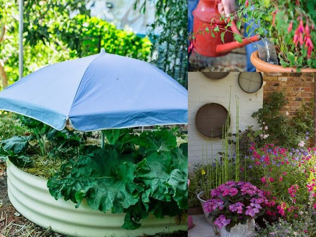 Πως να προστατεύσετε φυτά από τον καύσωνα - Φωτογραφία 1