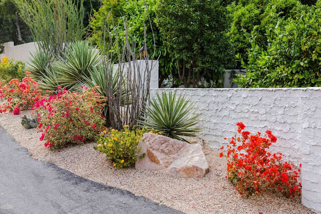 Πως να προστατεύσετε φυτά από τον καύσωνα - Φωτογραφία 2