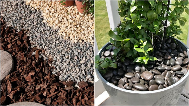 Πως να προστατεύσετε φυτά από τον καύσωνα - Φωτογραφία 5