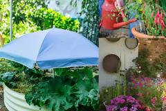 Πως να προστατεύσετε φυτά από τον καύσωνα