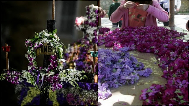 Λουλούδια της Μεγάλης Εβδομάδας: ανοιξιάτικα λουλούδια και πασχαλινές παραδόσεις - Φωτογραφία 3