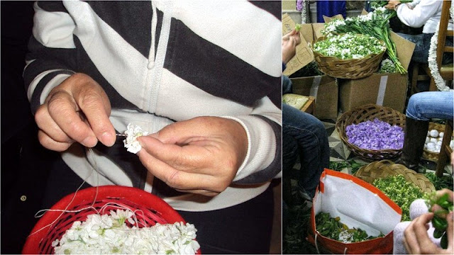 Λουλούδια της Μεγάλης Εβδομάδας: ανοιξιάτικα λουλούδια και πασχαλινές παραδόσεις - Φωτογραφία 4