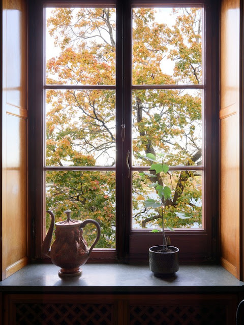 HOME TOUR: Ισορροπία παλιού και νέου σε ένα διαμέρισμα με ξεχωριστό χαρακτήρα - Φωτογραφία 6