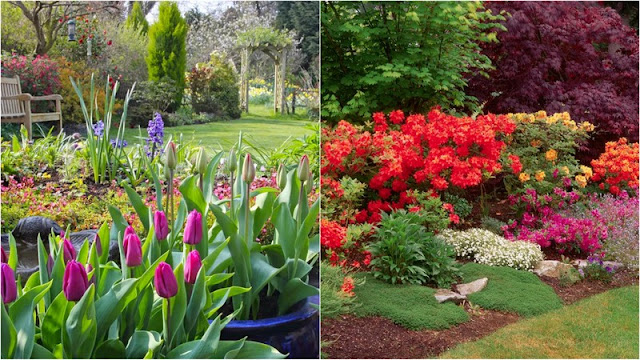 Φυτεύσεις σε επίπεδα: πώς δημιουργούν φυσικούς και ισορροπημένους κήπους - Φωτογραφία 5