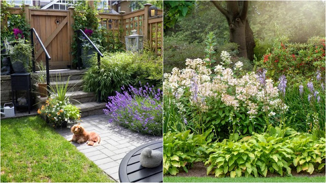 Φυτεύσεις σε επίπεδα: πώς δημιουργούν φυσικούς και ισορροπημένους κήπους - Φωτογραφία 6