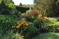 Φυτεύσεις σε επίπεδα: πώς δημιουργούν φυσικούς και ισορροπημένους κήπους