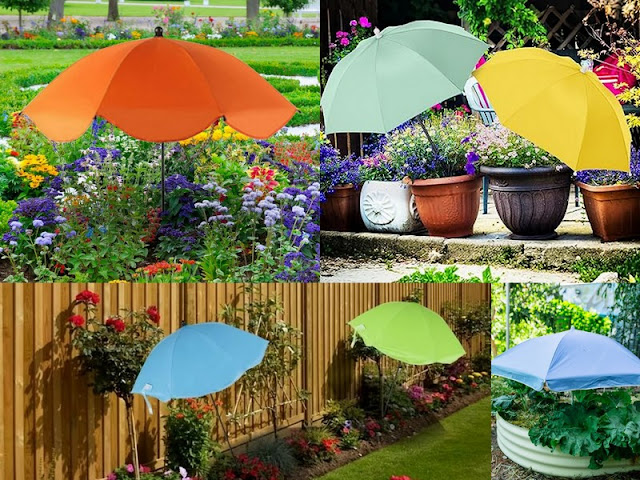 Ομπρέλα για φυτά: βοηθάει πραγματικά στην προστασία από τον ήλιο; - Φωτογραφία 1