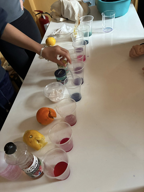 Χρώματα & pH: το κόκκινο λάχανο σε δράση! - Φωτογραφία 1