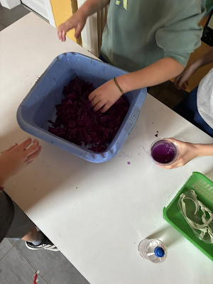 Χρώματα & pH: το κόκκινο λάχανο σε δράση! - Φωτογραφία 2