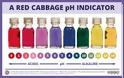 Χρώματα & pH: το κόκκινο λάχανο σε δράση! - Φωτογραφία 3