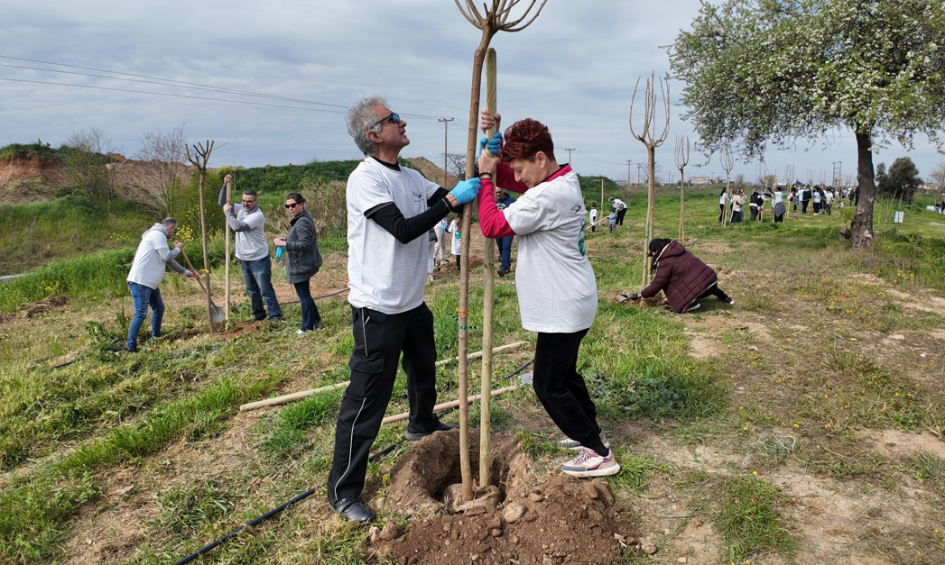 Επιτυχημένη δράση δενδροφύτευσης της φαρμακαποθήκης Liafarm σε συνεργασία με τον Δήμο Θέρμης - Φωτογραφία 3