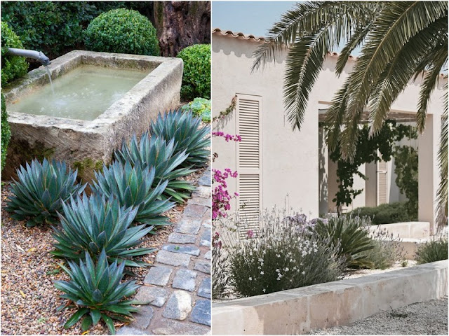 Κήπος σε παραθαλάσσιο σπίτι: σχεδιασμός, είδη φυτών, φροντίδα - Φωτογραφία 2