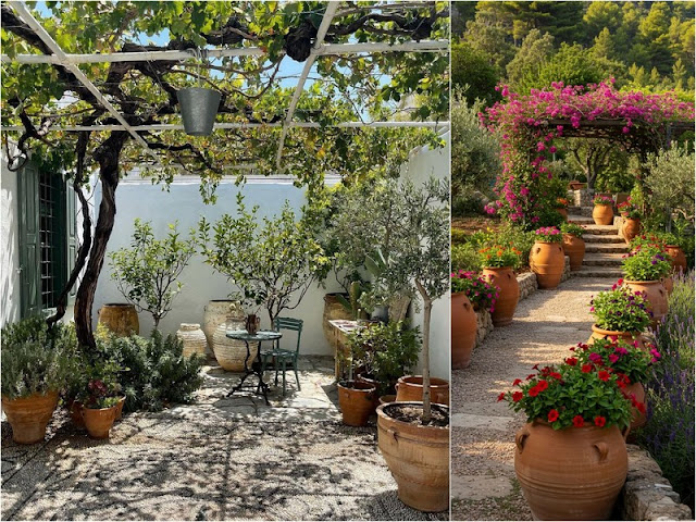 Κήπος σε παραθαλάσσιο σπίτι: σχεδιασμός, είδη φυτών, φροντίδα - Φωτογραφία 3