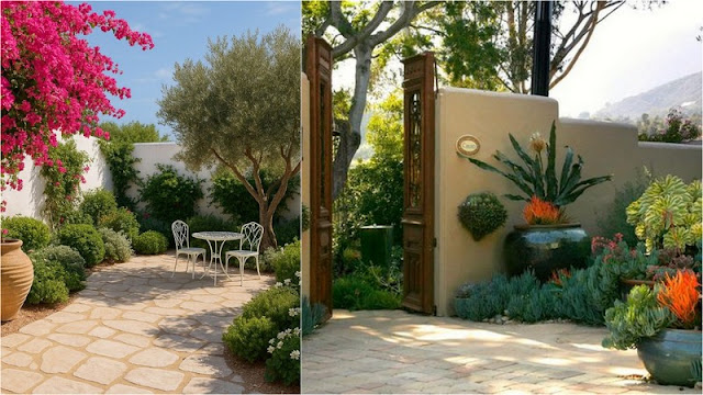 Κήπος σε παραθαλάσσιο σπίτι: σχεδιασμός, είδη φυτών, φροντίδα - Φωτογραφία 5