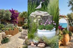 Κήπος σε παραθαλάσσιο σπίτι: σχεδιασμός, είδη φυτών, φροντίδα