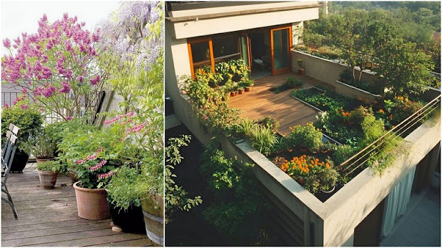 Μεγάλες βεράντες: όταν ο χώρος υπάρχει αλλά δεν μας ικανοποιεί - Φωτογραφία 7