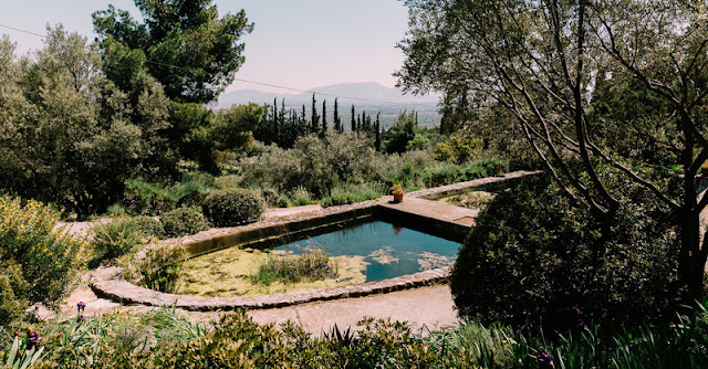 Κτήμα Σπάροζα. Ένας μεσογειακός κήπος, πρότυπο οικολογικής κηπουρικής - Φωτογραφία 3