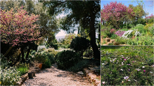 Κτήμα Σπάροζα. Ένας μεσογειακός κήπος, πρότυπο οικολογικής κηπουρικής - Φωτογραφία 4