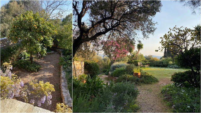 Κτήμα Σπάροζα. Ένας μεσογειακός κήπος, πρότυπο οικολογικής κηπουρικής - Φωτογραφία 5
