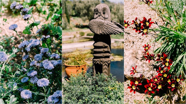 Κτήμα Σπάροζα. Ένας μεσογειακός κήπος, πρότυπο οικολογικής κηπουρικής - Φωτογραφία 6