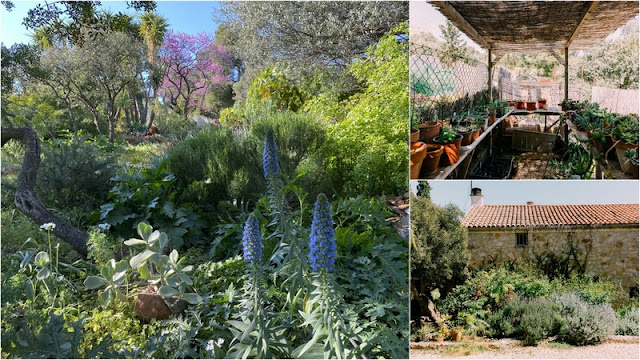 Κτήμα Σπάροζα. Ένας μεσογειακός κήπος, πρότυπο οικολογικής κηπουρικής - Φωτογραφία 7