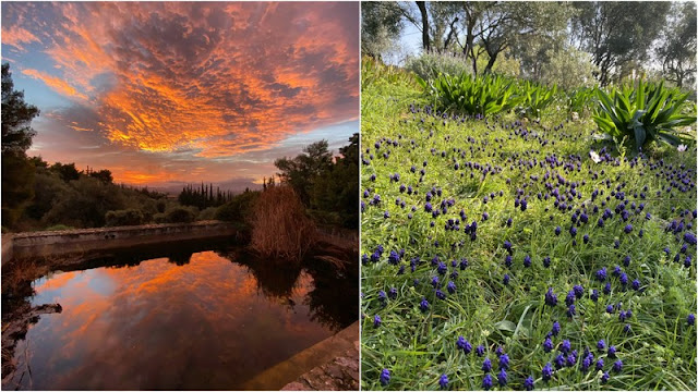 Κτήμα Σπάροζα. Ένας μεσογειακός κήπος, πρότυπο οικολογικής κηπουρικής - Φωτογραφία 8