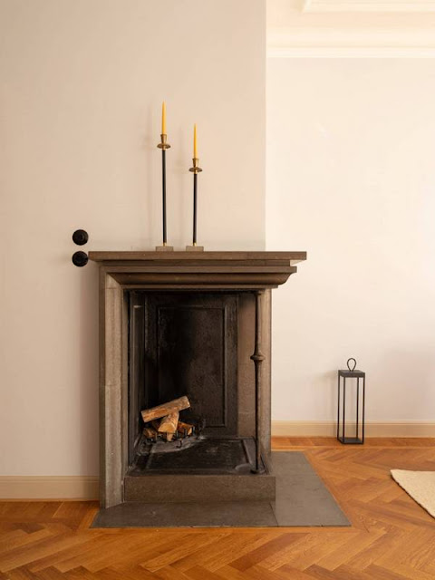 Κλασική αρχιτεκτονική και Σκανδιναβικό στυλ σε εξαιρετικούς συνδυασμούς - Φωτογραφία 10