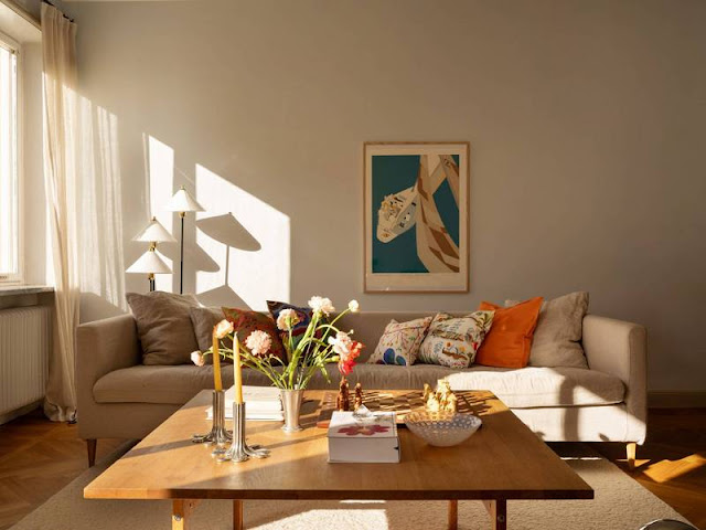 Κλασική αρχιτεκτονική και Σκανδιναβικό στυλ σε εξαιρετικούς συνδυασμούς - Φωτογραφία 6