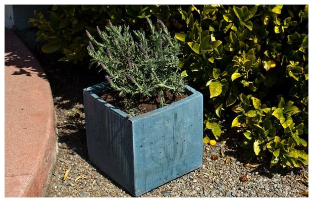 DIY Τσιμεντένιες γλάστρες - ζαρντινιέρες μεγάλου μεγέθους - Φωτογραφία 8
