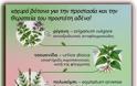 ισχυρά βότανα, στα πλαίσια μιας υγιεινής διατροφής, τα οποία επιδρούν θετικά στην πρόληψη αλλά και στη θεραπεία του καρκίνου του προστάτη