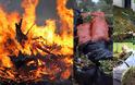 Πόσο οικολογική είναι τελικά η φροντίδα των φυτών μας; - Φωτογραφία 13