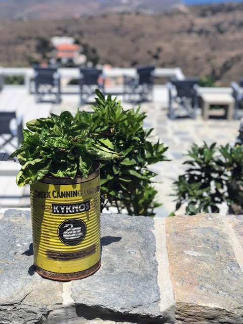 Greek Chic: Η ελληνική αισθητική επιστρέφει στη διεθνή διακόσμηση - Φωτογραφία 14