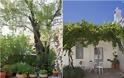 Μικρή αυλή, αίσθηση μεγαλύτερου χώρου:  τι κάνει τη διαφορά - Φωτογραφία 4