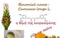 Τα βότανα των ανθρώπων – Οι χάρες των θεραπευτικών βοτάνων