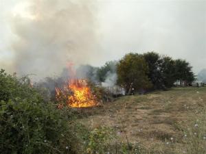 Κάηκαν 500 στρέμματα στην Παναγίτσα Φαρκαδόνας - Φωτογραφία 1