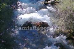 Δείτε βίντεο και νέες φωτογραφίες από τη νεκρή αγελάδα στο Γοργοπόταμο