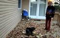 VIDEO: Δείτε το σκύλο ανεμοστρόβιλο