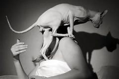 Φωτογραφίες που σίγουρα θα ήθελαν να κάψουν