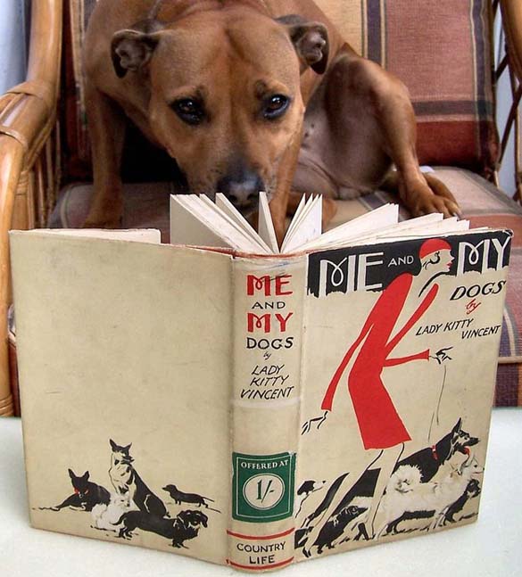 ΔΕΙΤΕ: Σκύλοι που λατρεύουν το διάβασμα - Φωτογραφία 7