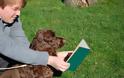 ΔΕΙΤΕ: Σκύλοι που λατρεύουν το διάβασμα - Φωτογραφία 6