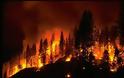 ΣΥΜΒΑΙΝΕΙ ΤΩΡΑ: Πυρκαγιά στην θέση Καλόγερος στην Β. Σκόπελο
