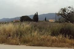 Αναγνώστης επισημαίνει το κίνδυνο πυργακιάς σε χωράφι παραμελλημένο στο δήμο Δυμαίων
