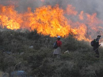Υπό μερικό έλεγχο η πυρκαγιά στη Χίο - Φωτογραφία 1