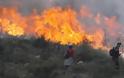 Υπό μερικό έλεγχο η πυρκαγιά στη Χίο