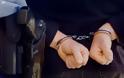 Συνέλαβαν 8 άτομα και εξιχνίασαν κλοπή στη Γράμμουσα