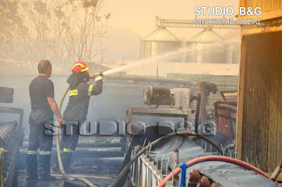 Μπαράζ πυρκαγιών σήμερα σε Ναύπλιο και Αργος - Φωτογραφία 5