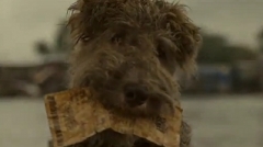 ΣΥΓΚΙΝΗΤΙΚΟ VIDEO: Γιατί ο σκύλος δεν μας προδίδει ποτέ! - Φωτογραφία 1
