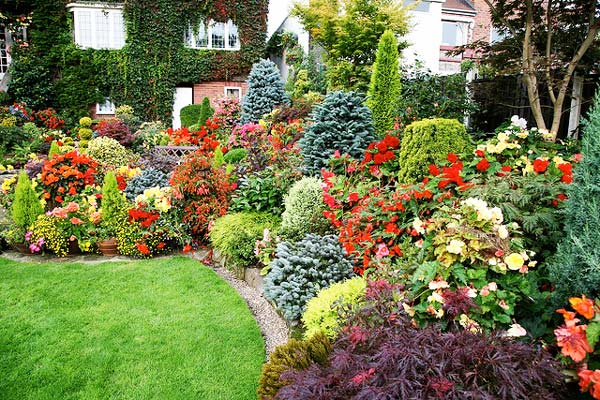 Ζευγάρι στη Βρετανία έχει τον πιο εντυπωσιακό κήπο - Φωτογραφία 2