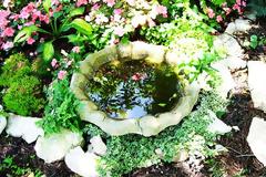 Ζευγάρι στη Βρετανία έχει τον πιο εντυπωσιακό κήπο