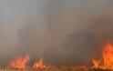 ΠΡΙΝ ΛΙΓΟ: Υπό μερικό έλεγχο η φωτιά στη Κορινθία - Συνεχίζεται η πυρκαγιά στη Πύλο